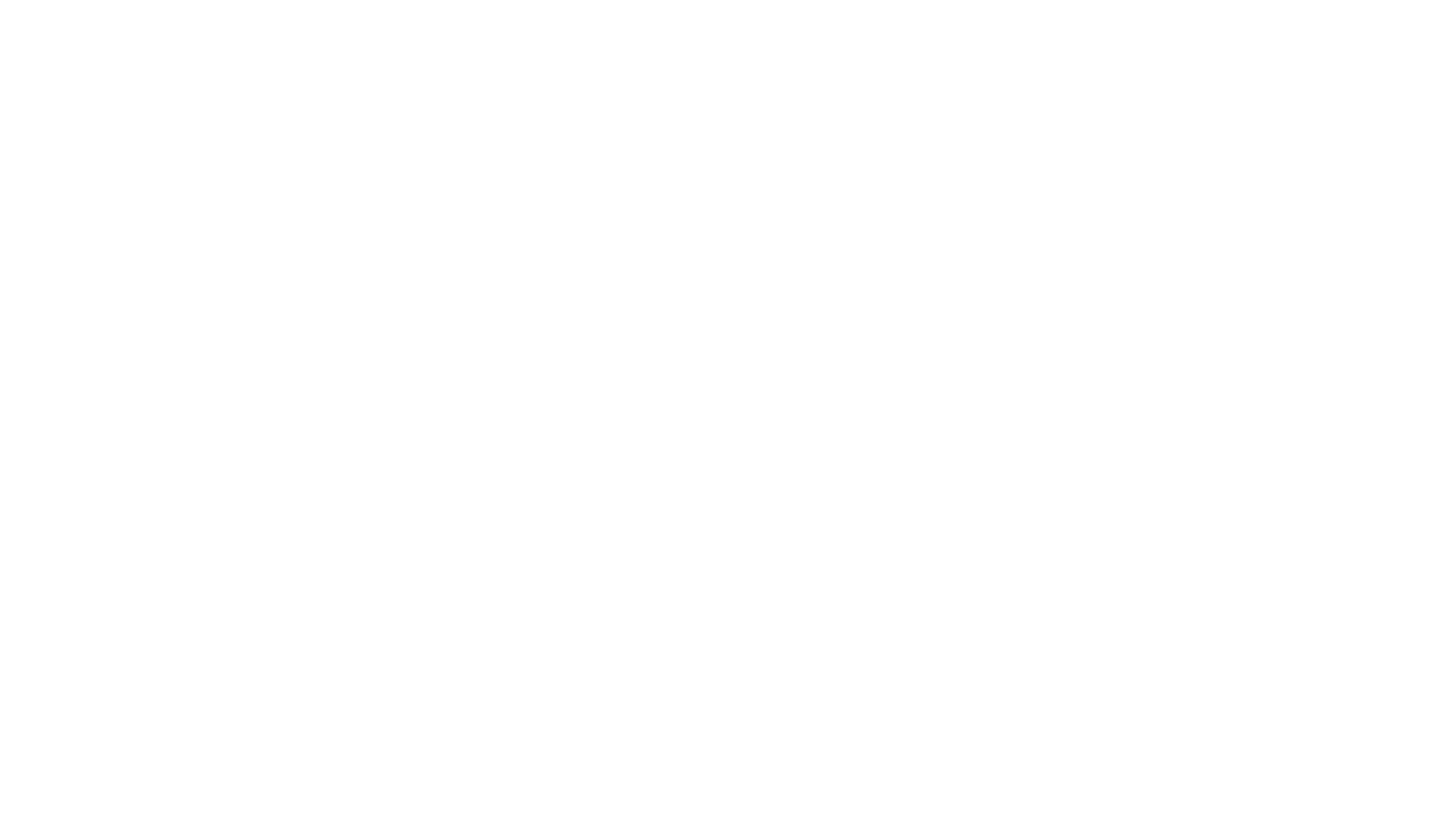 VIPVEL